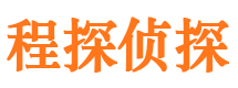 江岸调查公司